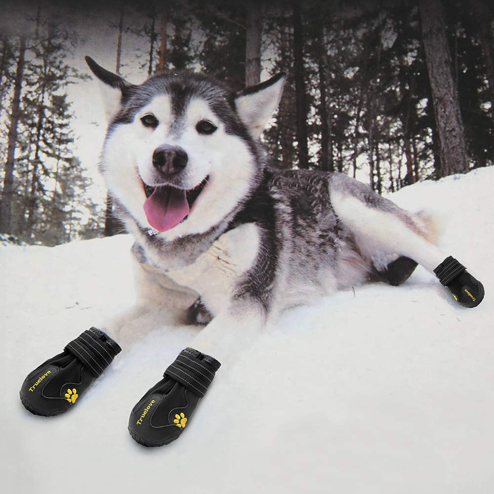 MOKCCI Truelove dog boots protect paws from stickers, rocks, glass and debris.