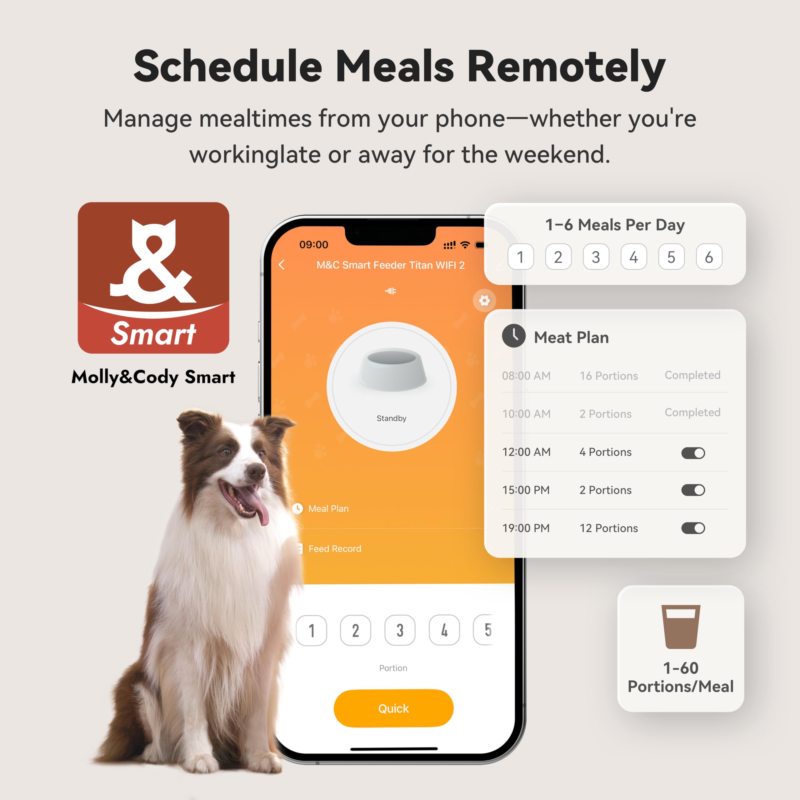 MOLLY&CODY app control interface demonstrating remote meal scheduling