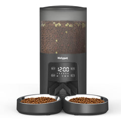 Molypet automatic cat feeder front view with double bowls enabling simultaneous feeding and reduced mealtime stress.