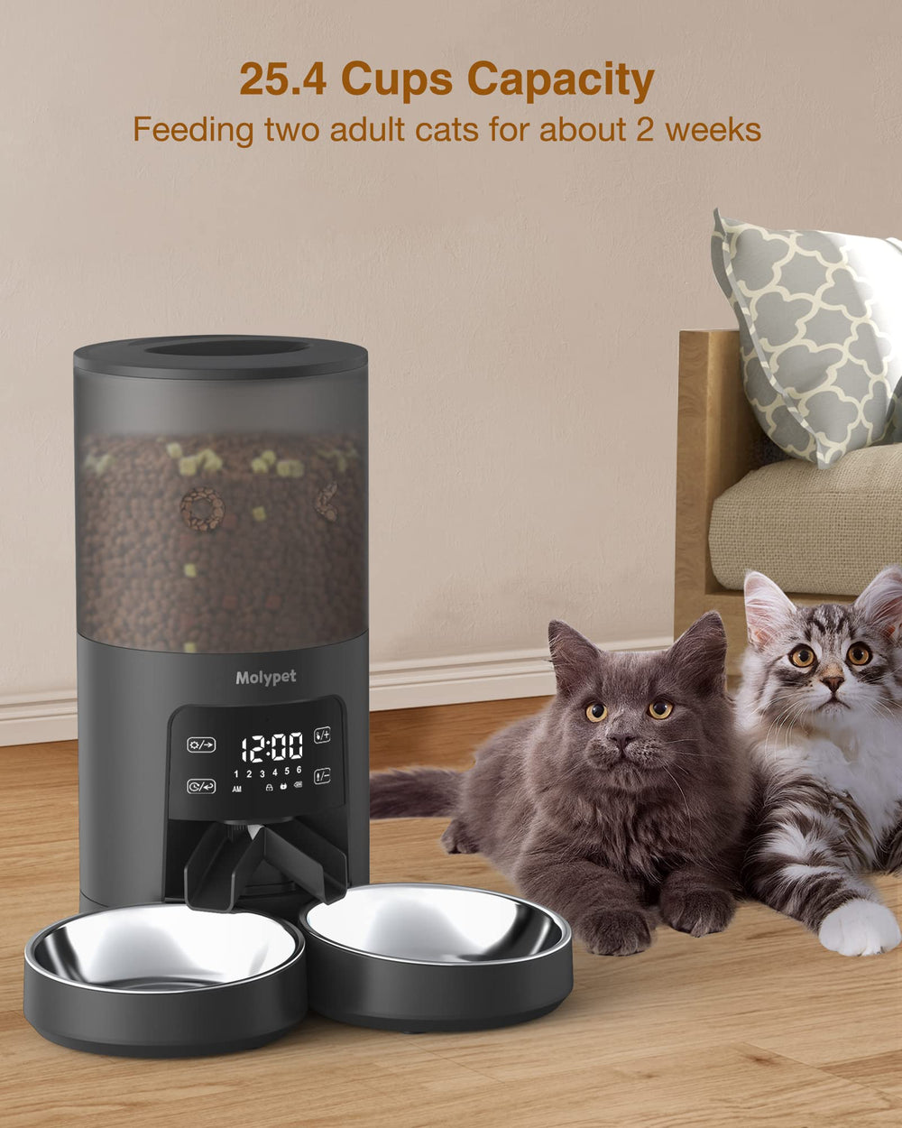 Molypet timed-meal settings demonstrate scheduling up to six meals per day.