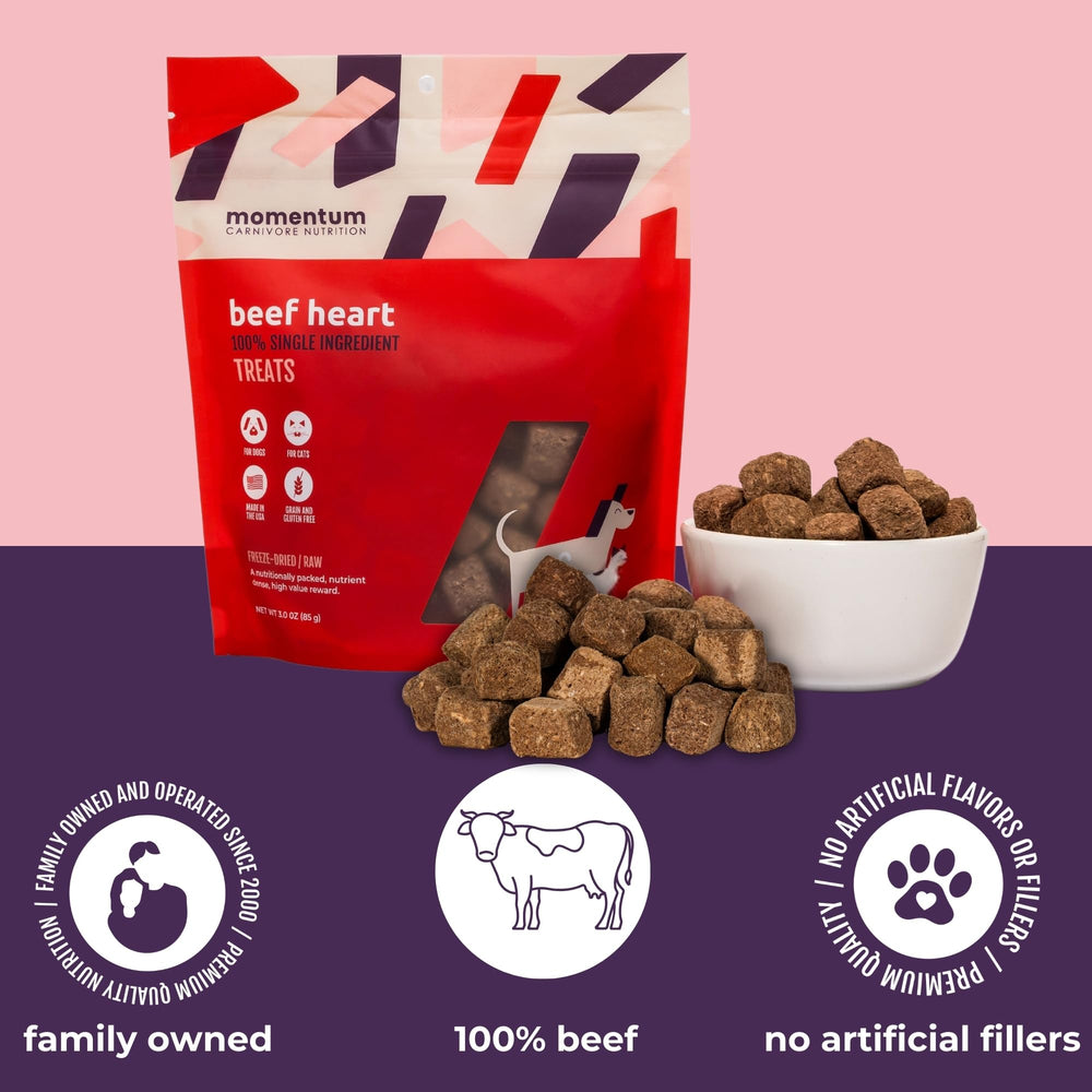 Momentum Carnivore Nutrition freeze-dried texture closeup—preserved nutrients and natural flavor for a raw-like treat.