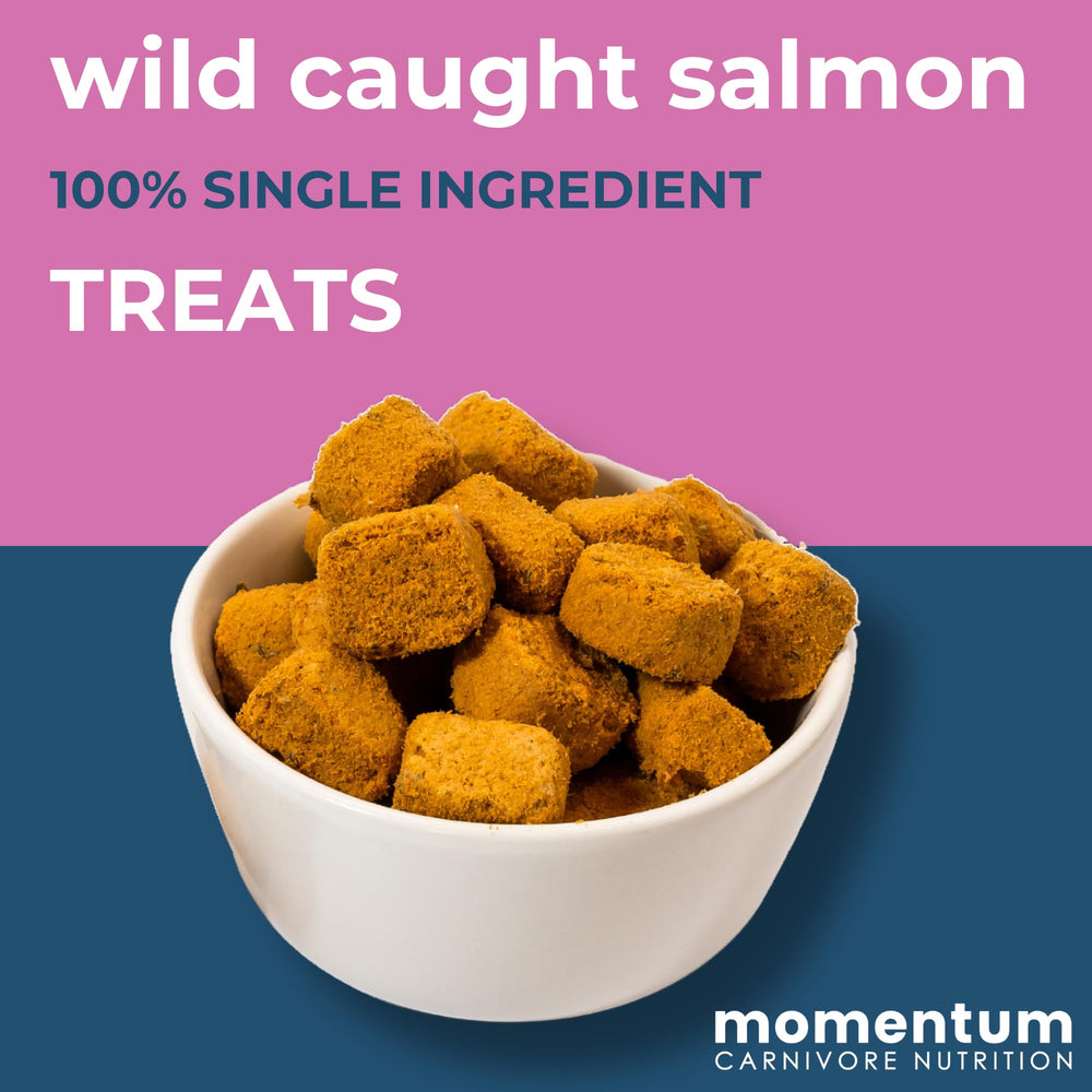 Momentum Carnivore omega-3 rich salmon snacks suggesting coat health benefits