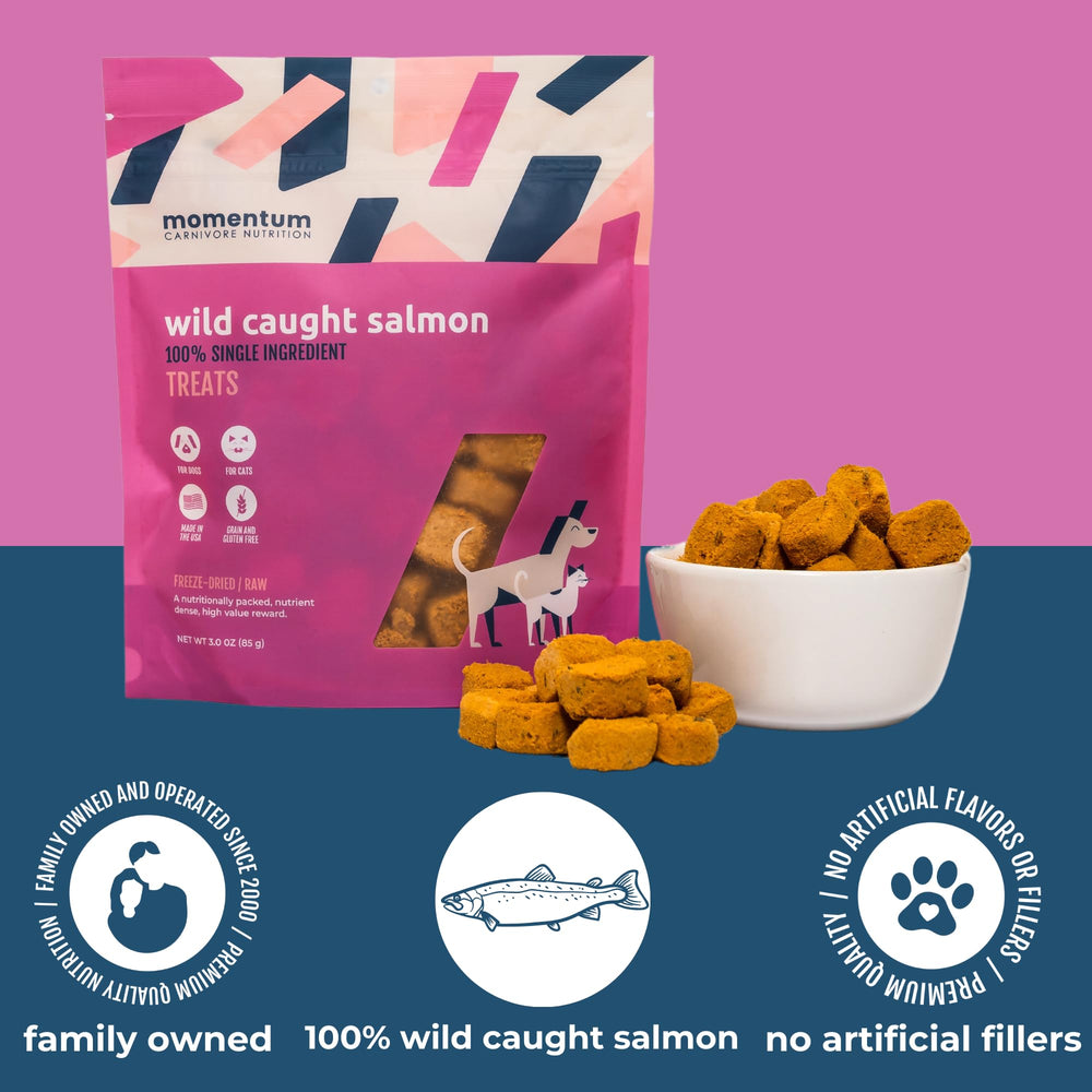 Momentum Carnivore salmon treats close-up texture ideal for training bites