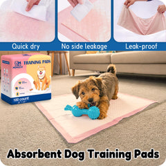 MoMoCo puppy pads 6-layer structure visible for rapid liquid-to-gel absorption