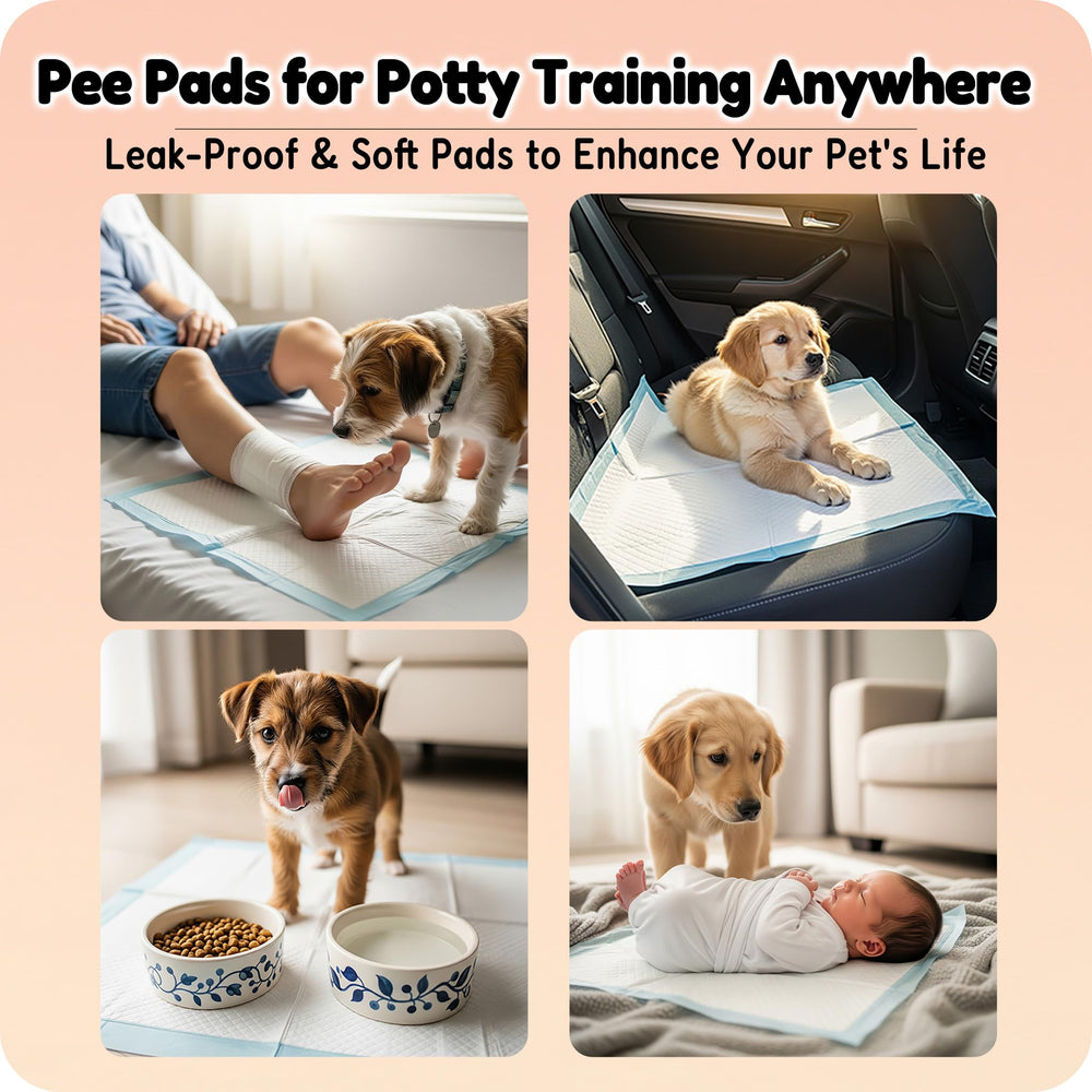 MoMoCo puppy pads bulk storage ensures fewer changes and convenient home use
