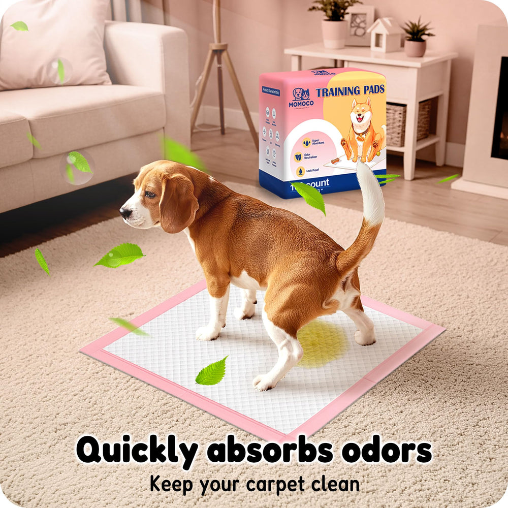 MoMoCo puppy pads for dogs and cats designed for puppies to seniors