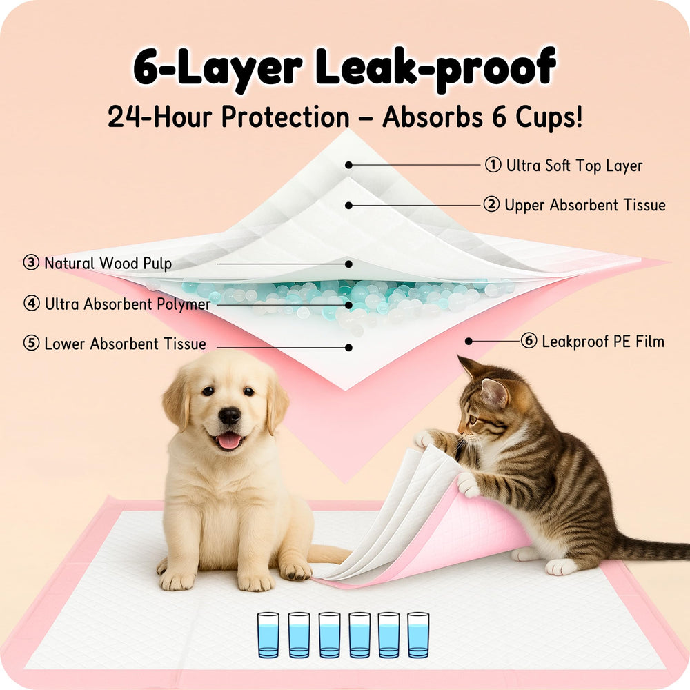 MoMoCo puppy pads quilted surface supports quick absorption and odor control