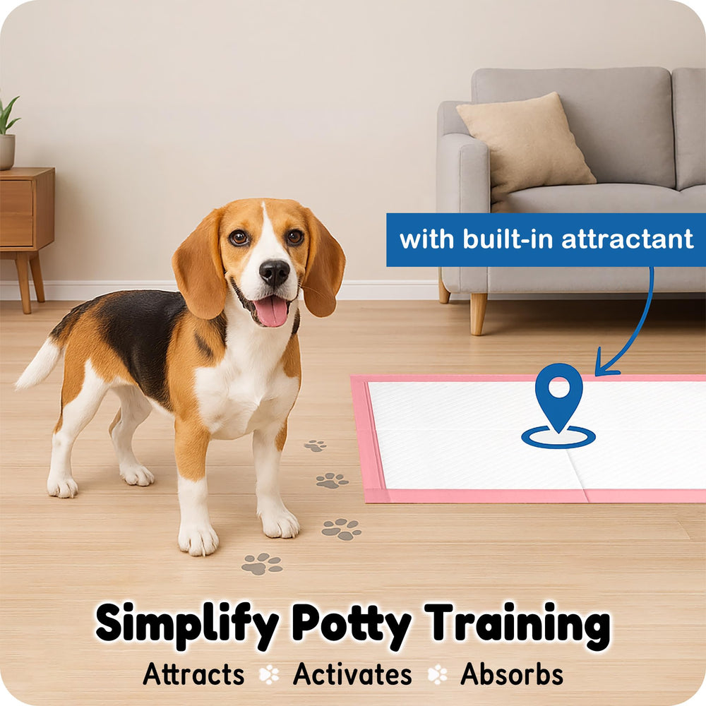 MoMoCo puppy pads waterproof backing protects floors during use