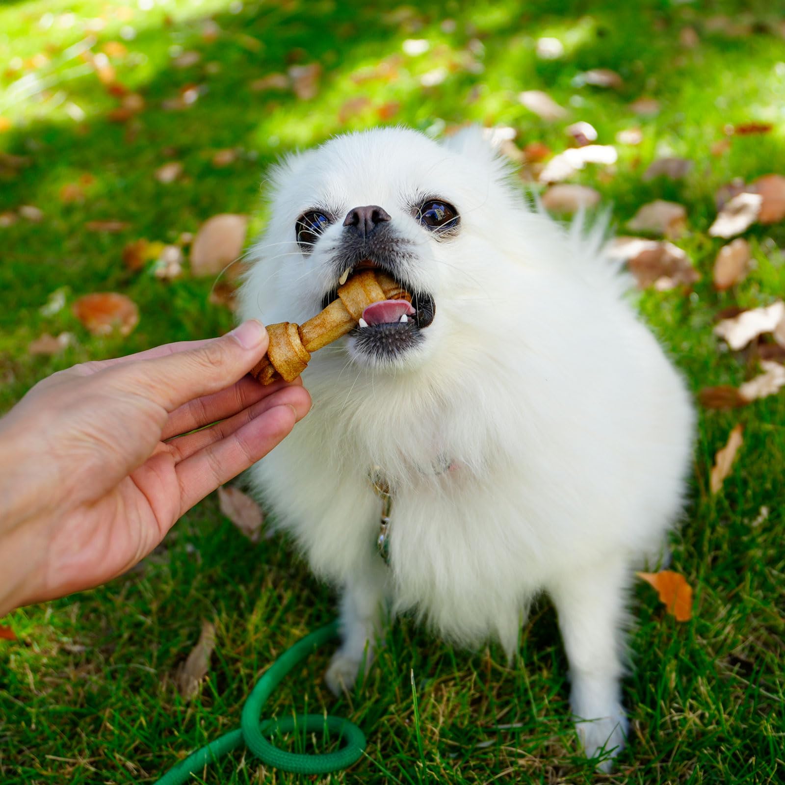 MON2SUN breath-fresh chew for small dogs helps fresher breath after meals