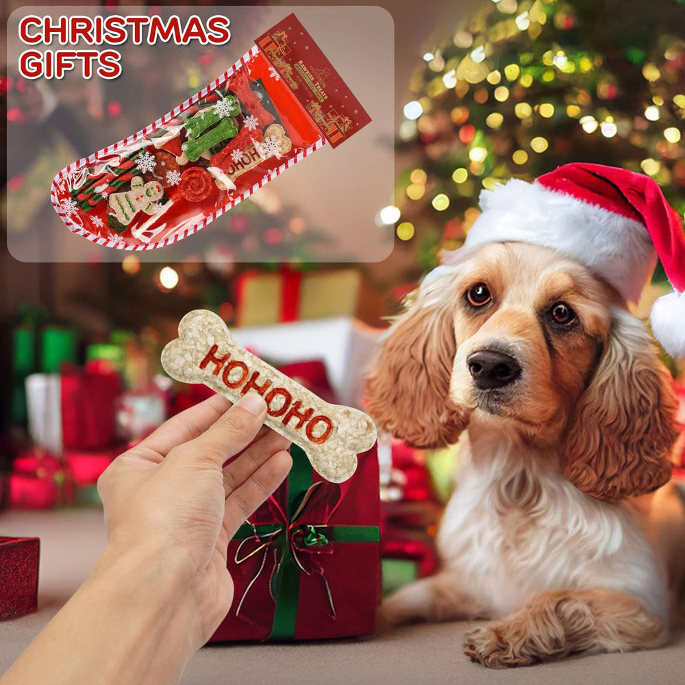 MON2SUN lollipops 5-5 inch rawhide, fun festive treat for dogs