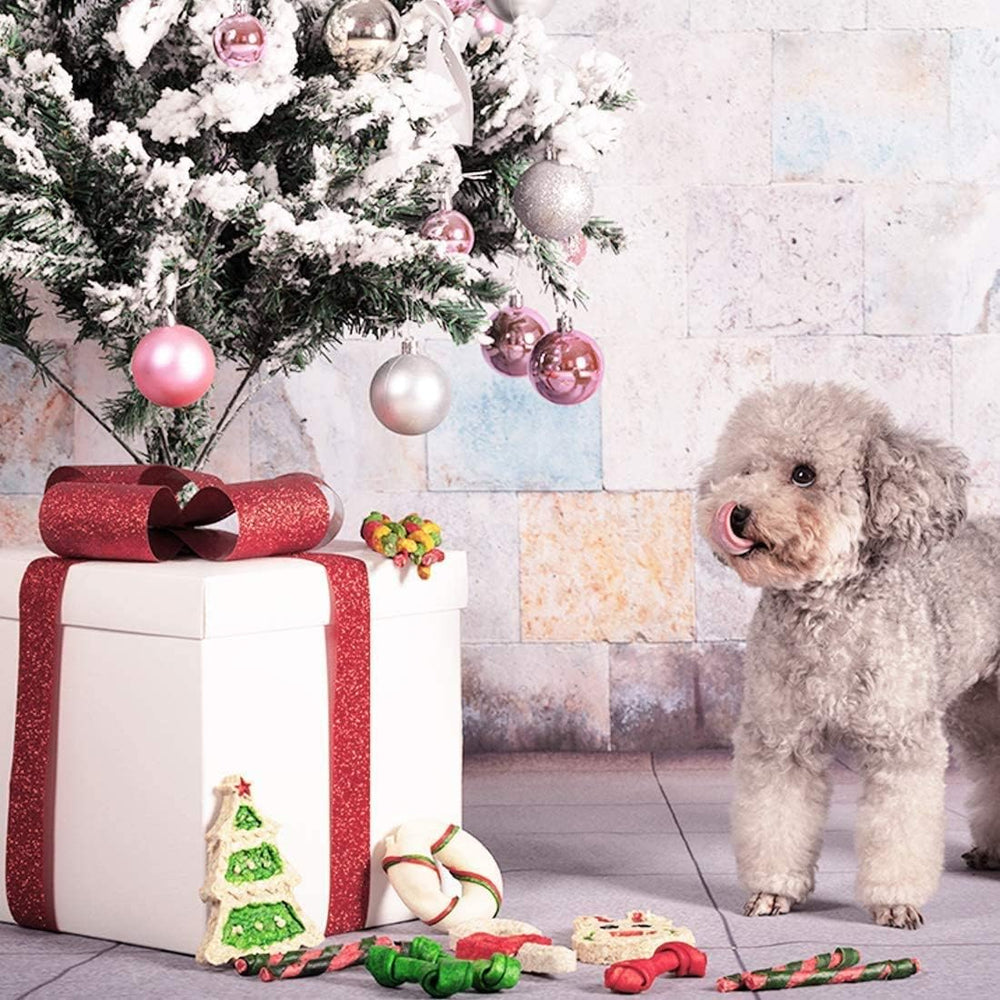 MON2SUN packaging showcase—brand-safe presentation for holiday gifting