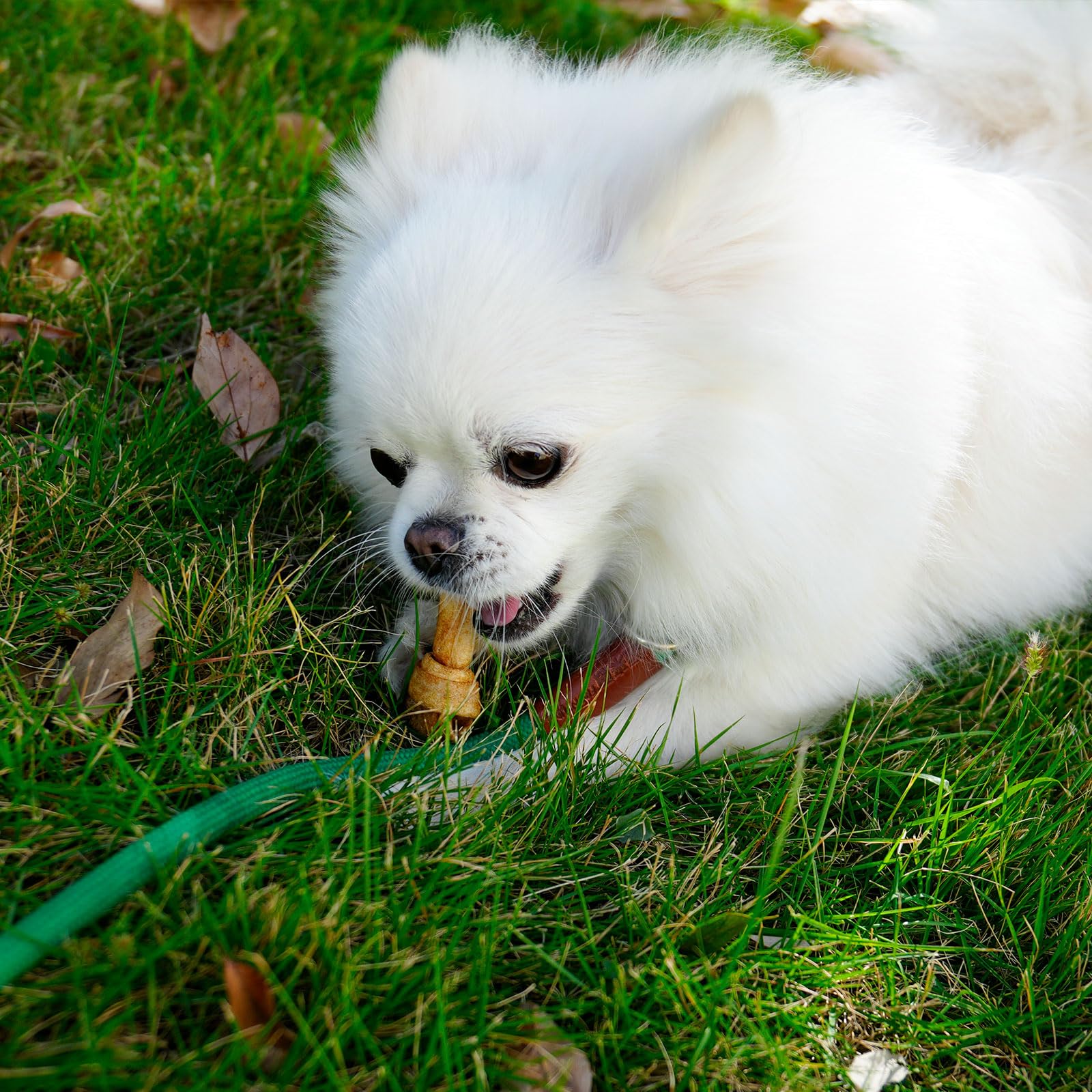 MON2SUN dog chews offer a textured chew that may support teeth-cleaning while satisfying urges