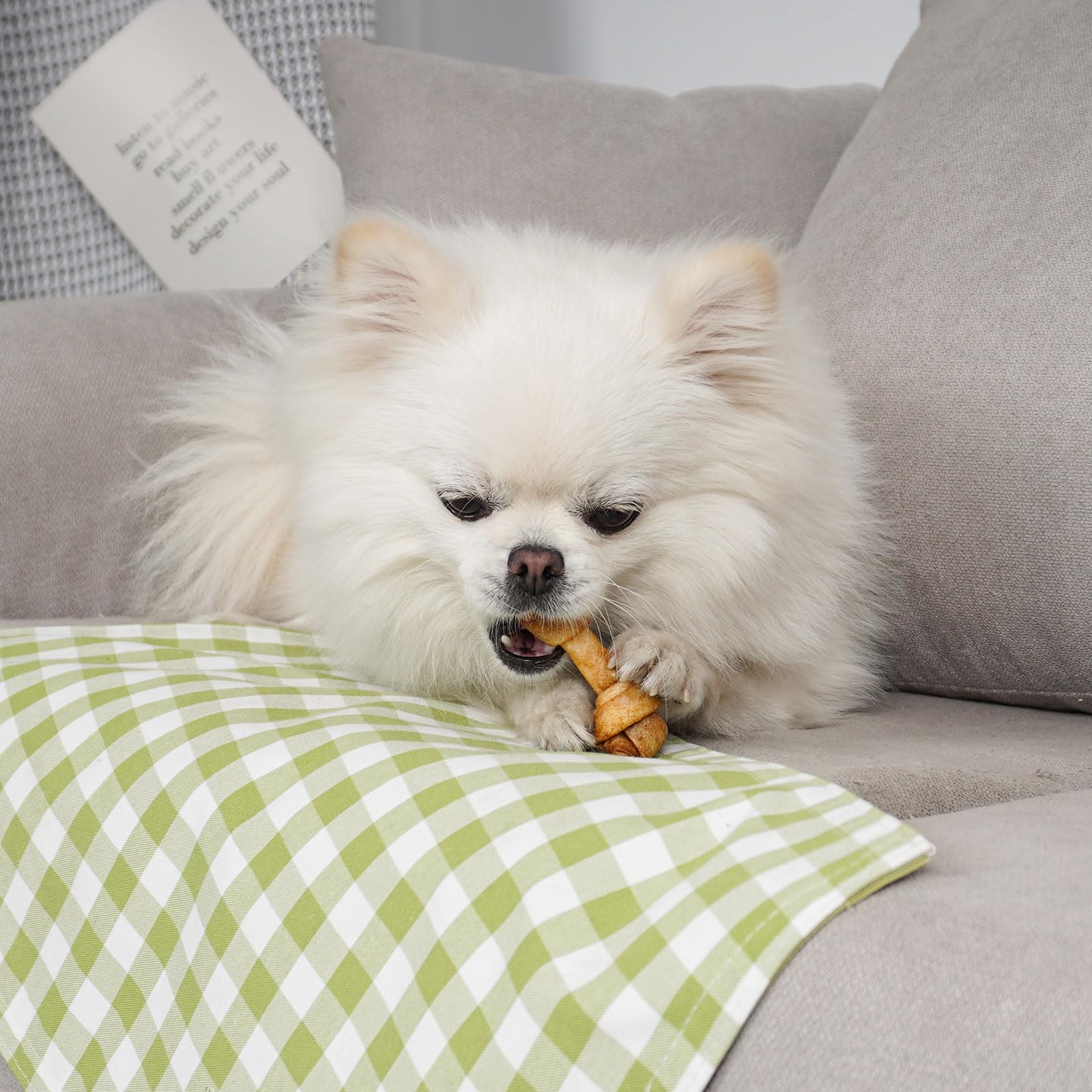 MON2SUN dog rawhide chew sticks provide engaging distraction during busy days