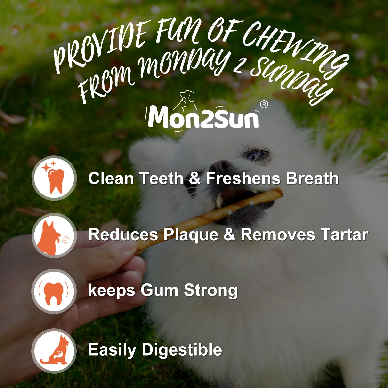 MON2SUN dog rawhide twist chicken chewing action—satisfying texture for busy dogs.