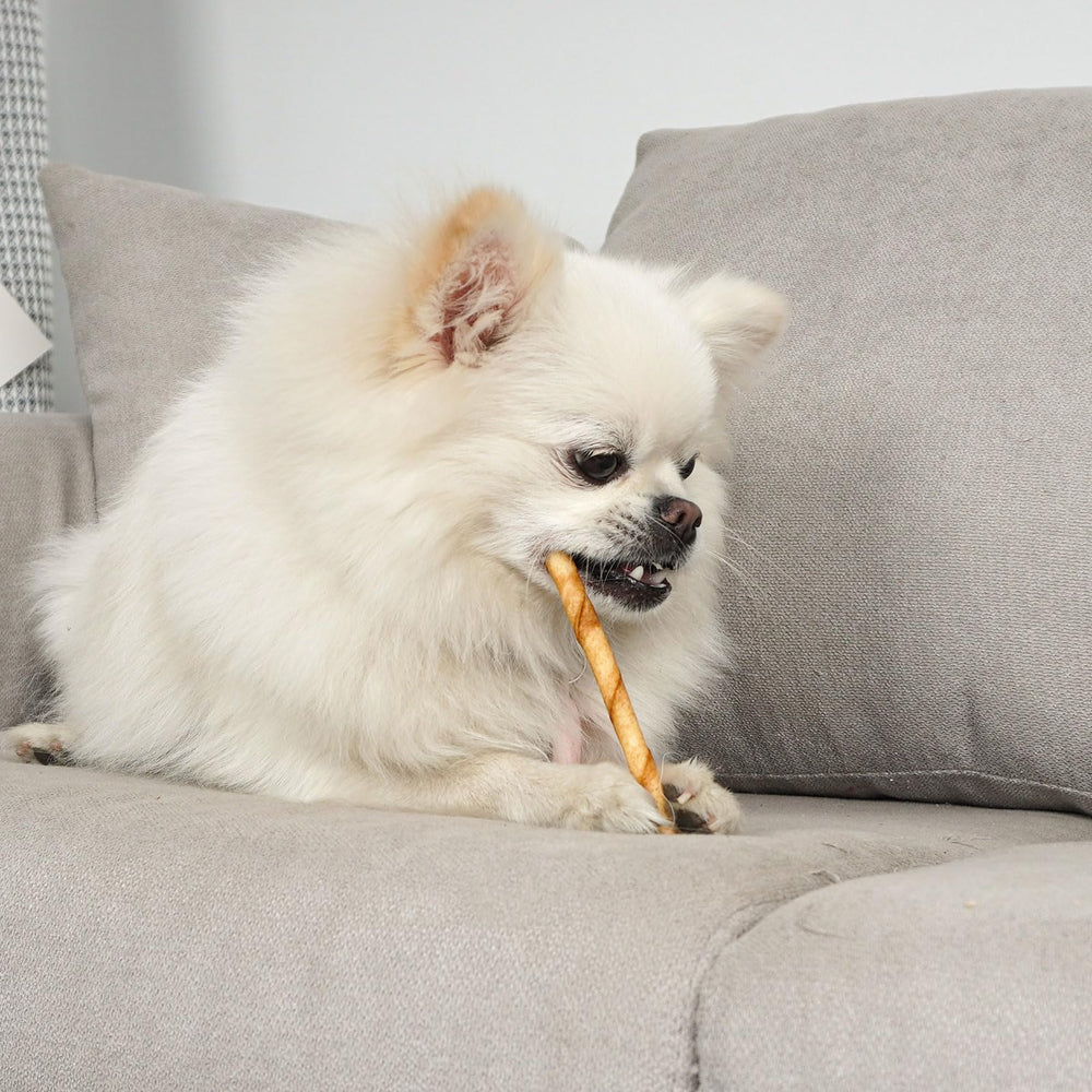 MON2SUN dog rawhide twist chicken oral-health close-up—may help reduce plaque with chewing.