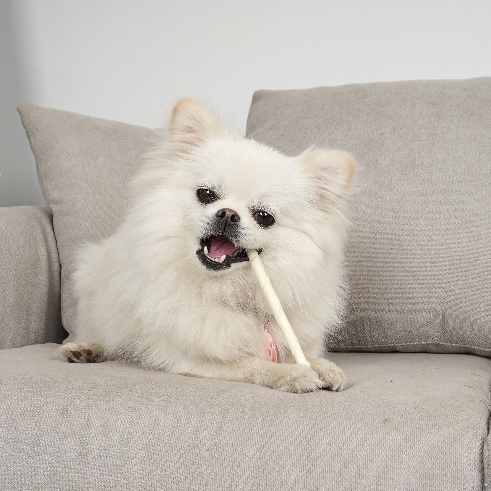 MON2SUN natural rawhide sticks illustrated as crate-friendly chew for puppies