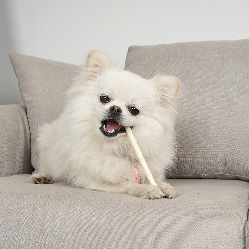 MON2SUN natural rawhide sticks illustrated as crate-friendly chew for puppies