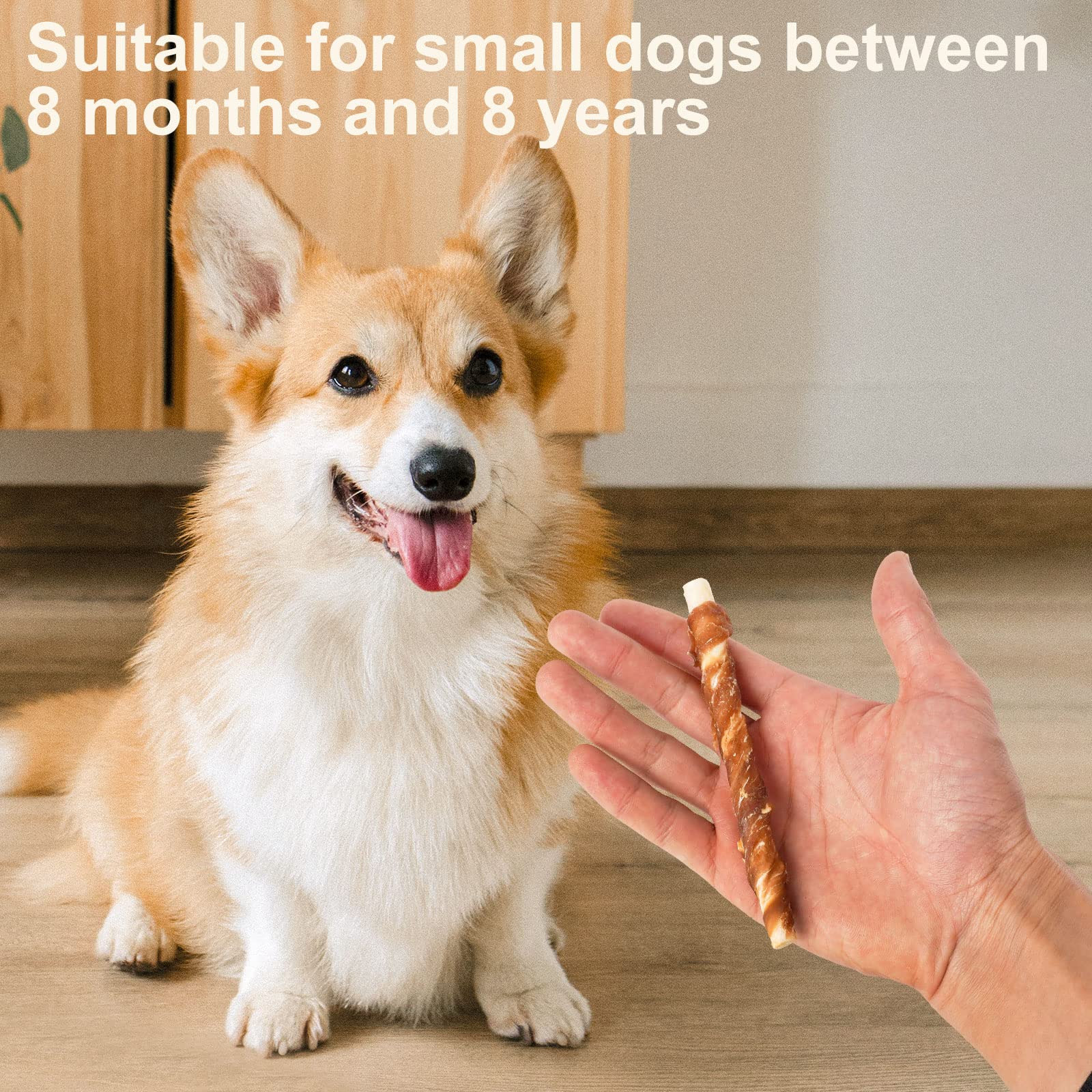 MON2SUN dog-teeth-benefits-chew-session promotes clean teeth during play