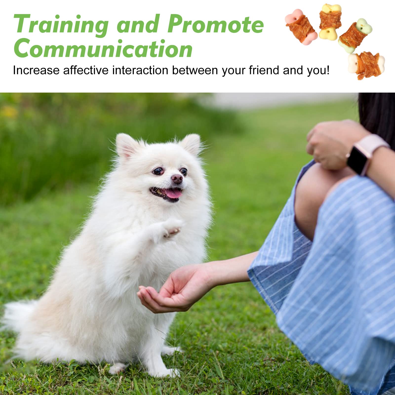 MON2SUN small dog use image showing bite sized treat for petite breeds