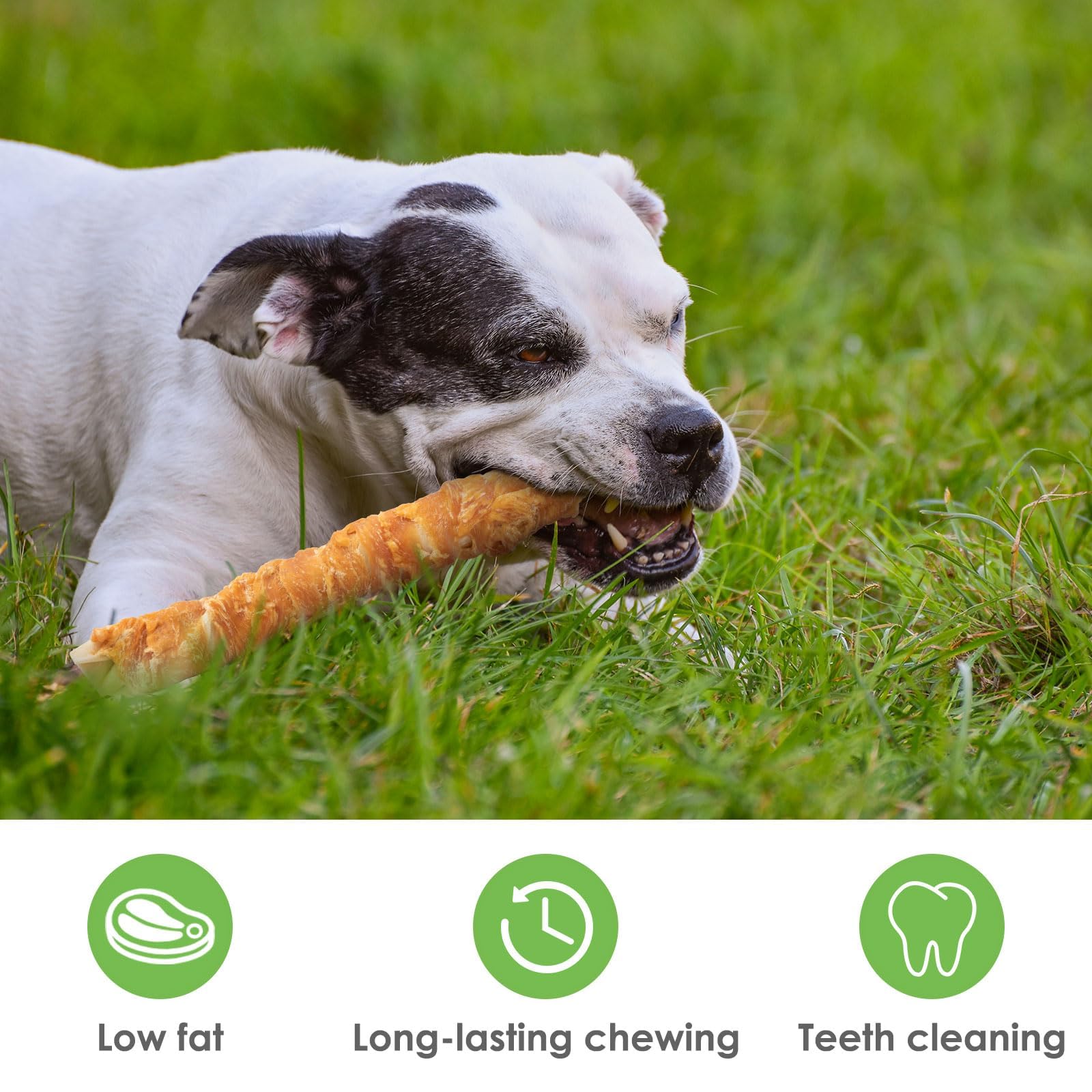 MON2SUN long-lasting chew in action, satisfying for busy chewers.