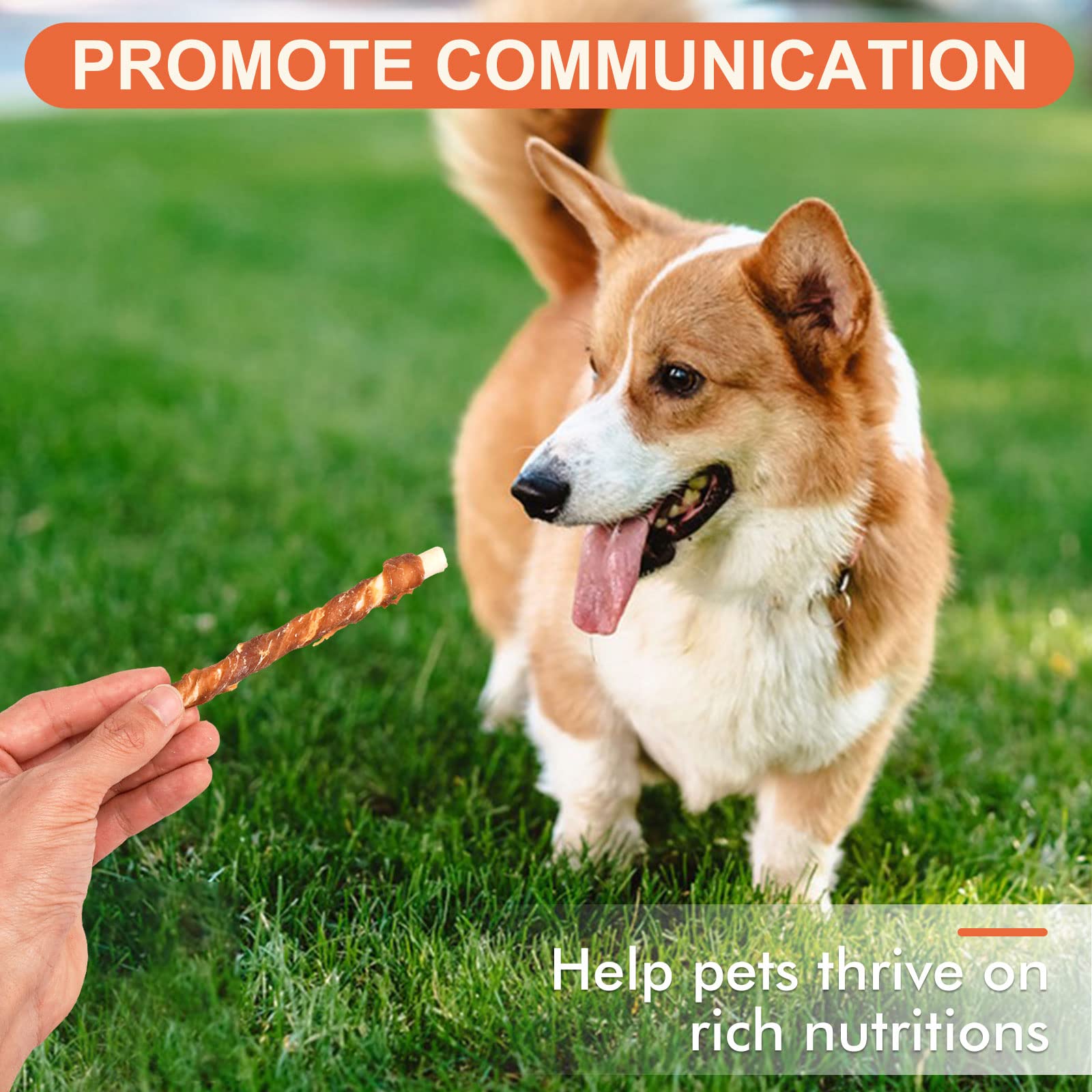 MON2SUN-pack-40-count-label convenient bulk purchase for regular treats