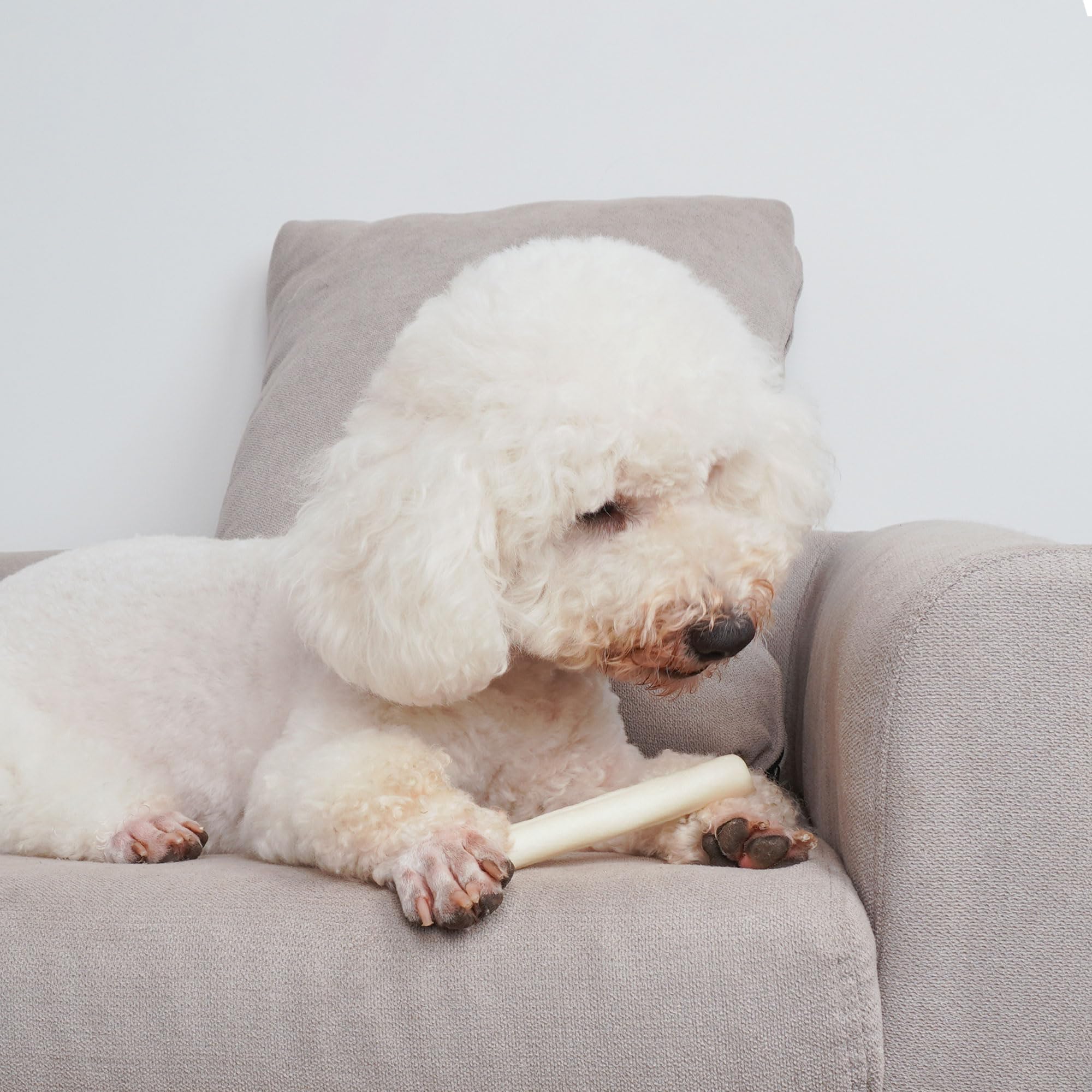 MON2SUN small-dog chews 6.5 inch sticks—gentle on small jaws