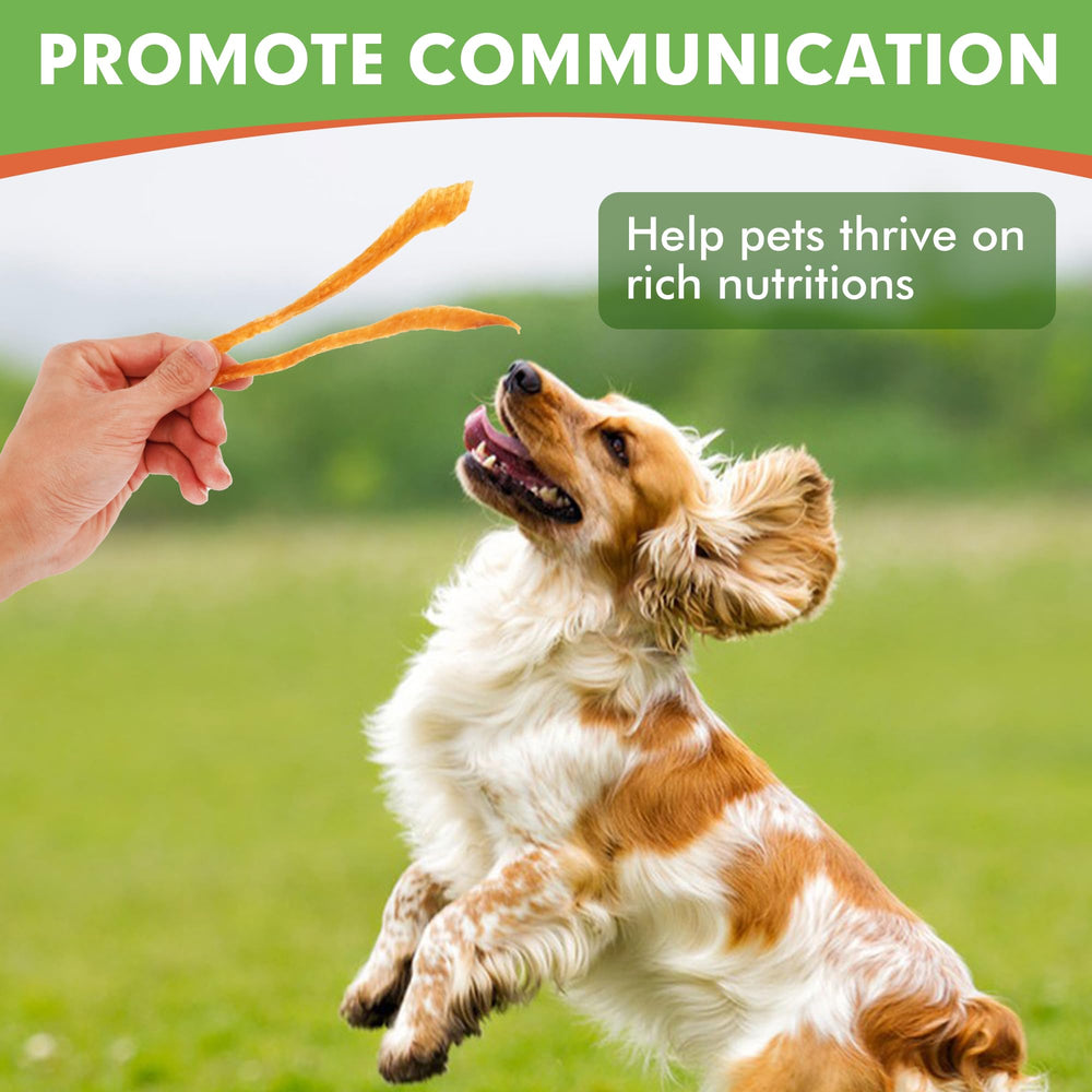 MON2SUN training rewards closeup shows bite-sized chews ideal for commands and praise