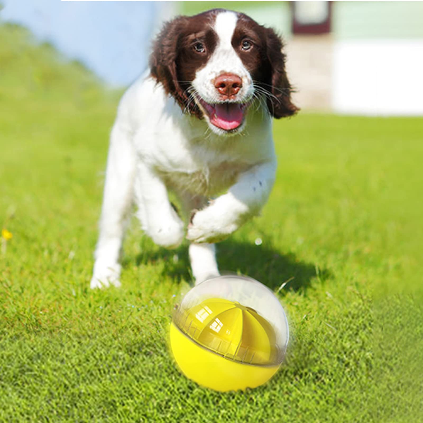 Monotre brain-stimulation toy aids mental exercise during meals.