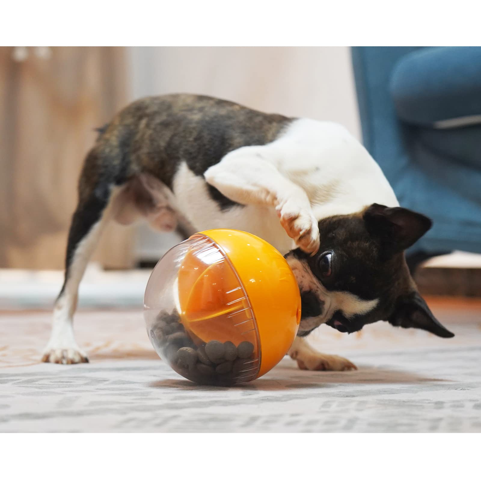 Monotre dog treat ball with visible food chamber for monitoring treats.