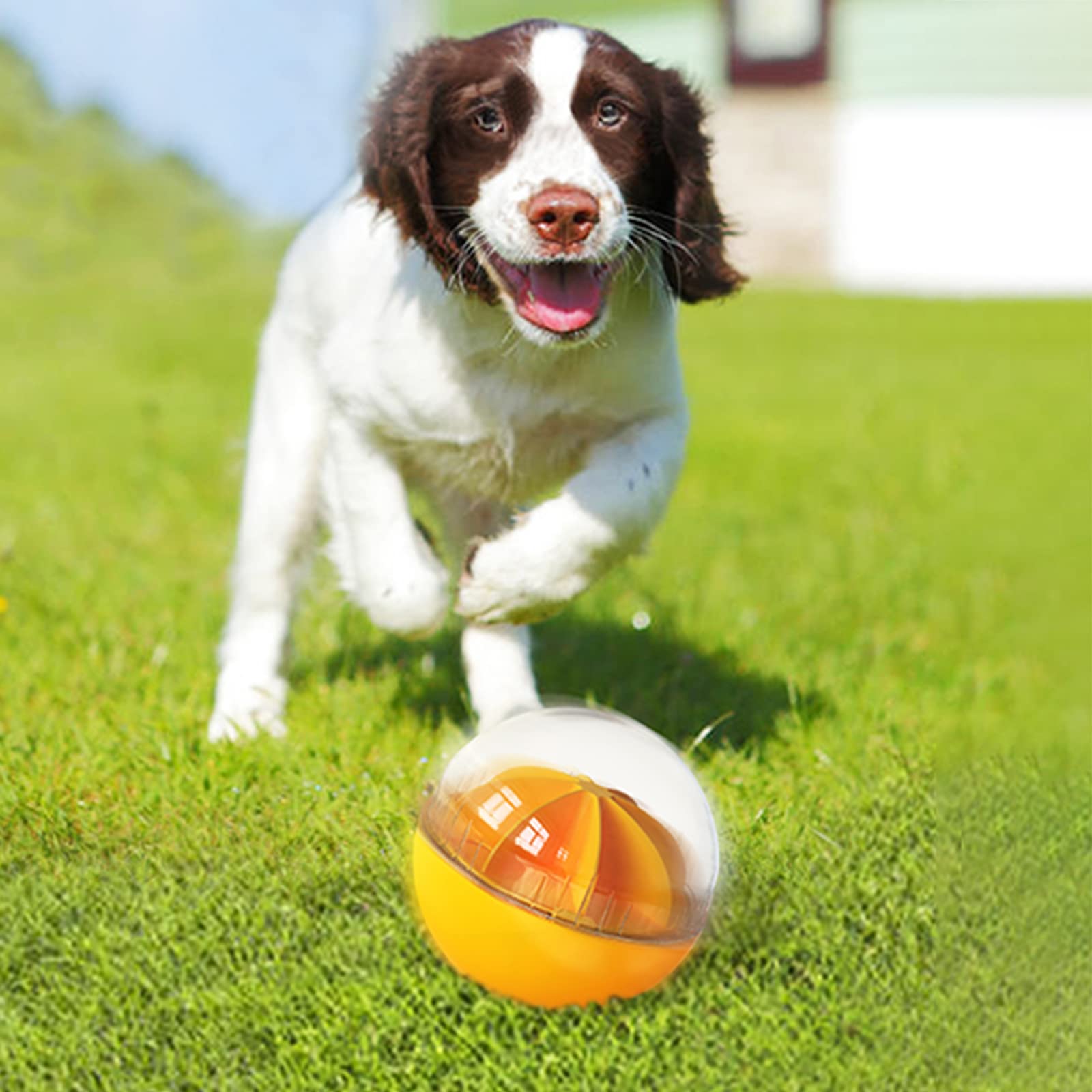 Monotre dog treat ball suited for medium to large breeds during solo play.