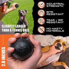 Monster K9 lifetime replacement label view implies hassle-free durability guarantee