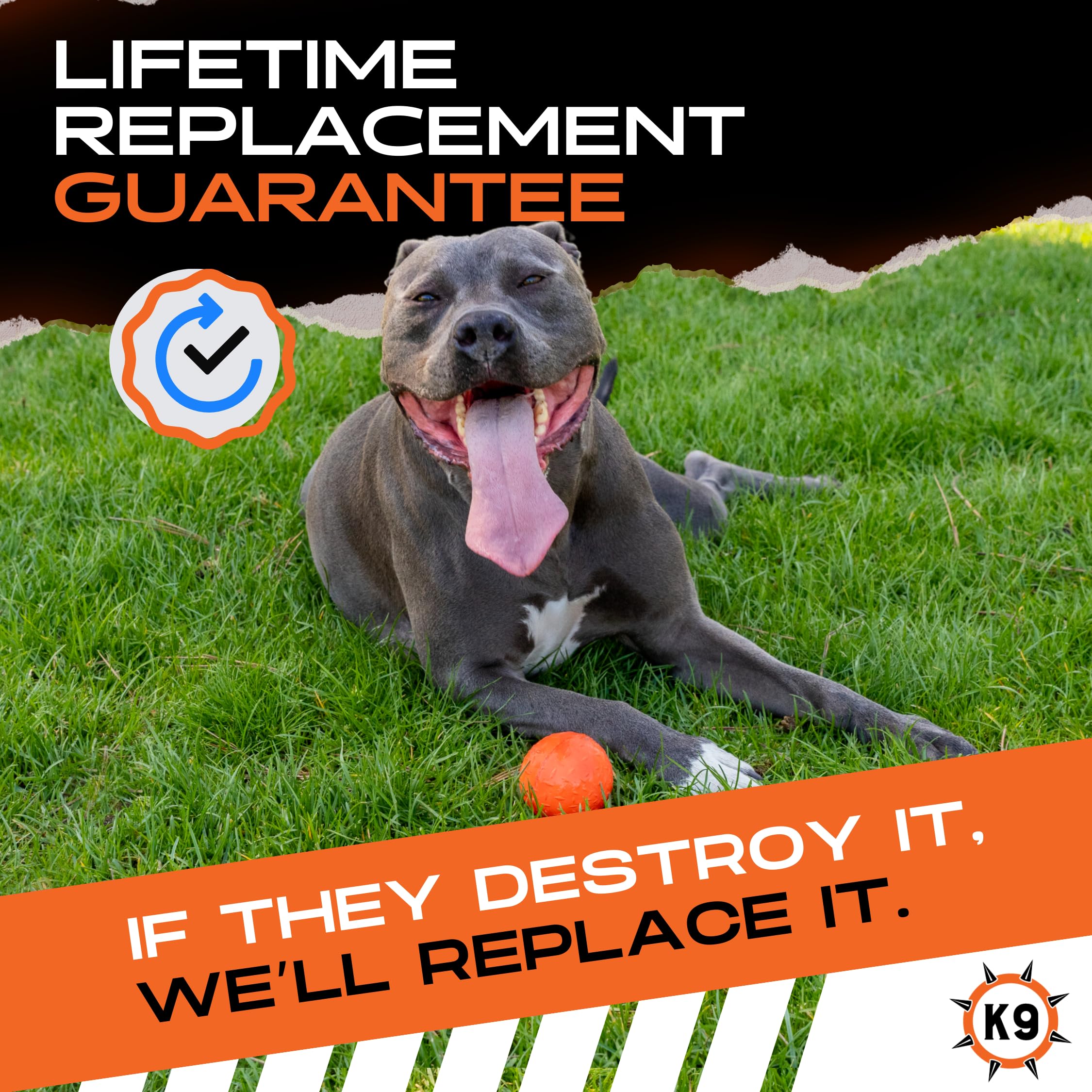 Monster K9 Beast Ball in action, ideal for chew sessions.