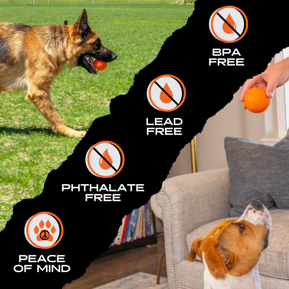 Monster K9 Beast Ball supports retired K9 heroes through Project K9 Hero.
