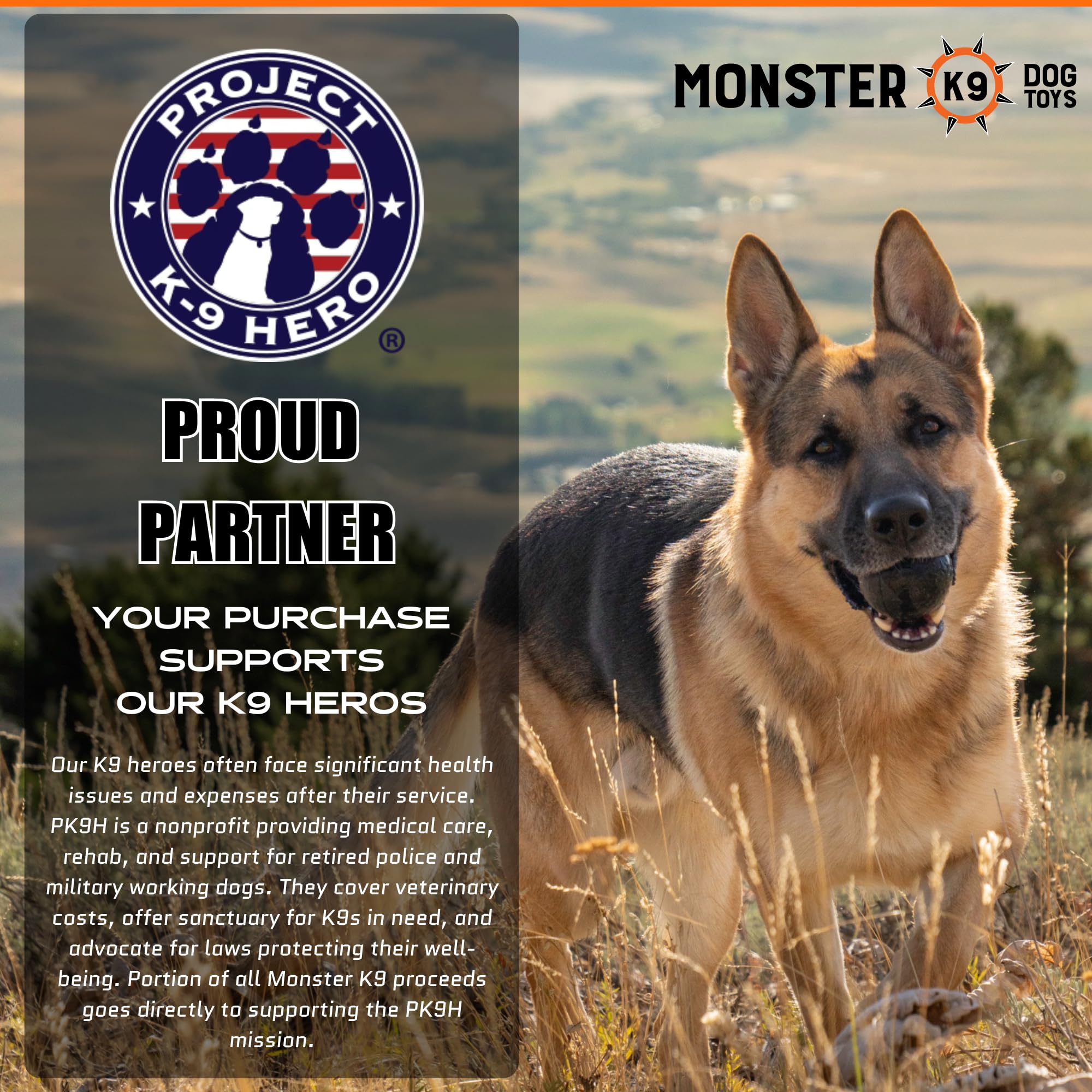 Monster K9 Indestructible Ball close-up rubber texture highlights solid-core resilience