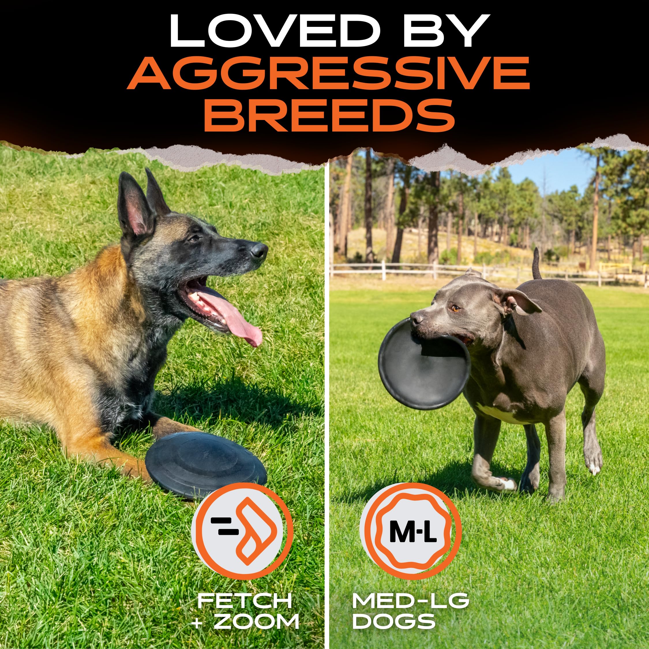Monster K9 Indestructible Flying Disc dishwasher-safe for quick cleaning