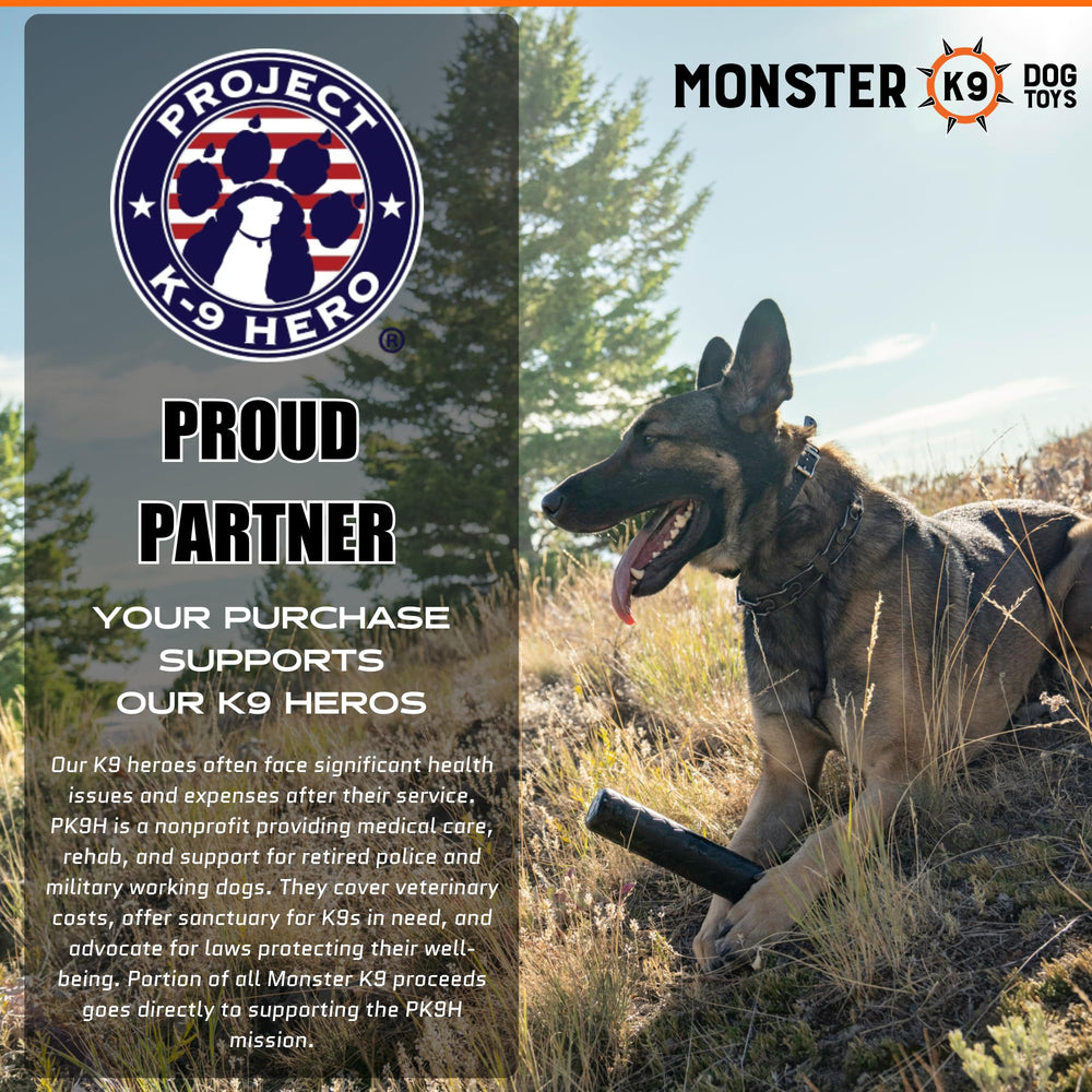 Monster K9 solid-core rubber showcases durable construction for power chewers.