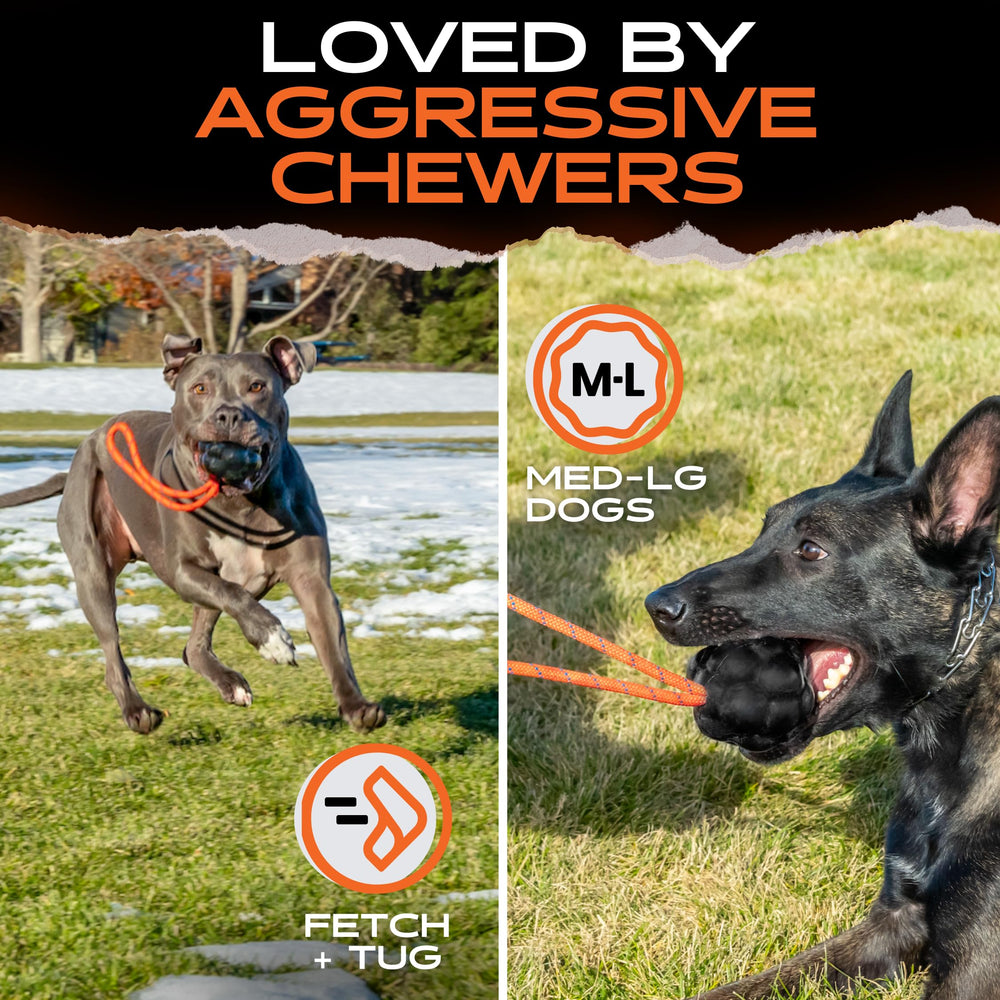 Monster K9 XL Dog Ball dishwasher-safe surface for easy cleaning.