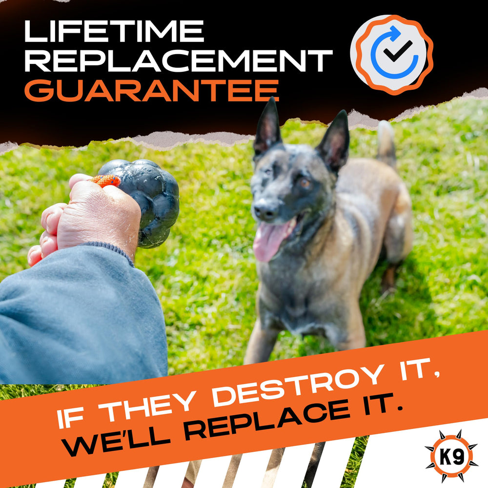 Monster K9 XL Dog Ball fetch and tug session promotes interactive fun.