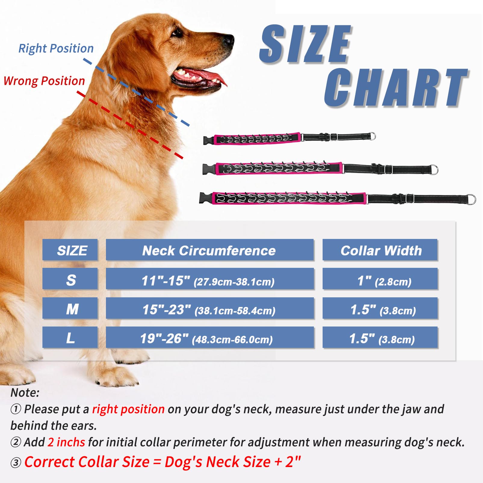 Monstoyo Martingale collar reflective strips boost visibility during dusk walks.