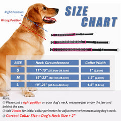 Monstoyo Martingale collar reflective strips boost visibility during dusk walks.