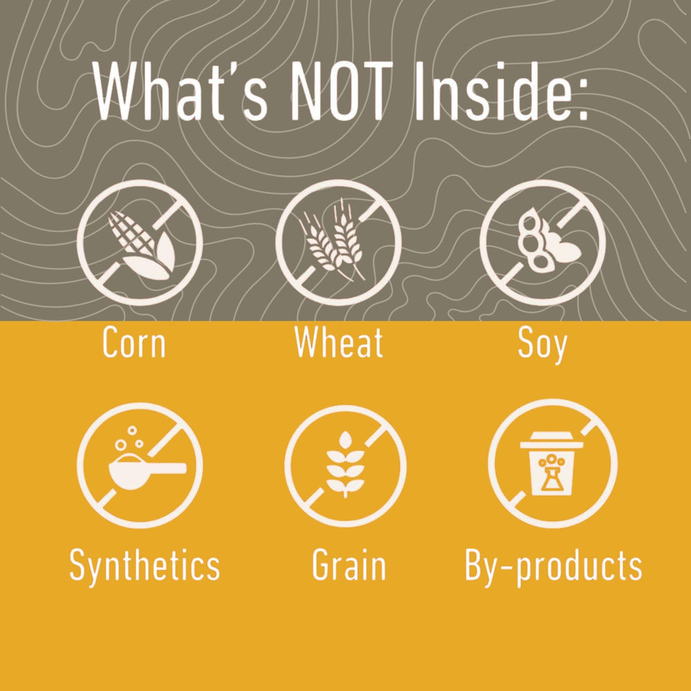 Montana Dog Food Co nutrient lock-in close-up suggests preserved flavor and nourishment.