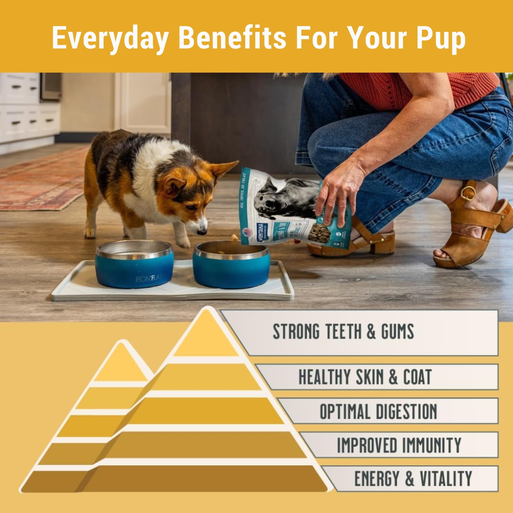 Montana Dog Food Co simple-serve top-down image highlights easy prep for busy owners.