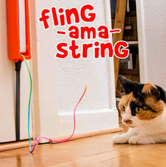 Moody Pet Fling-ama-String belt rotates to tease the string for play.