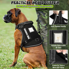 MOOGROU 2-in-1 leash and car seat belt in action for safe travel.