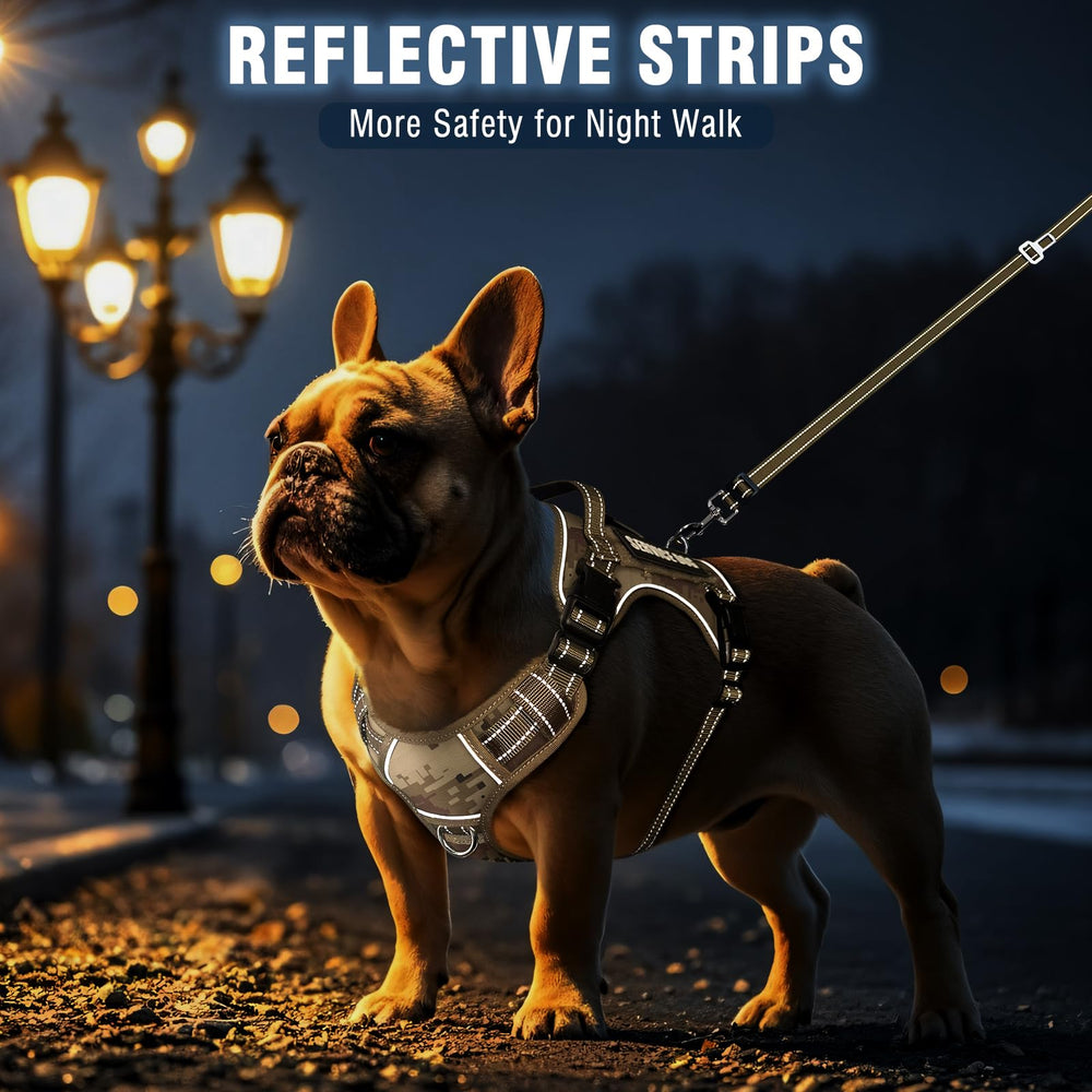 MOOGROU car travel harness attachment enables safer road trips.