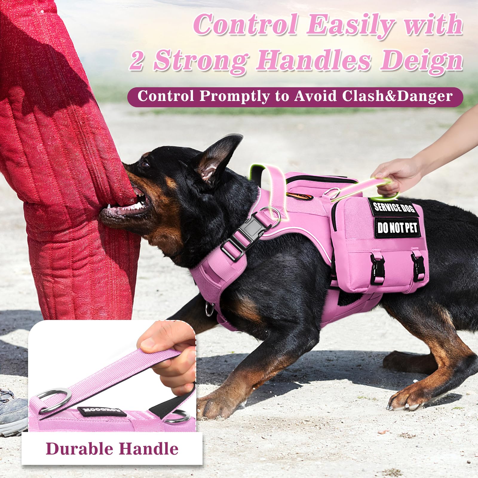 MOOGROU harness features sturdy D-rings and multiple handles for control.