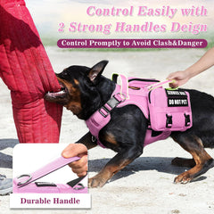 MOOGROU harness features sturdy D-rings and multiple handles for control.