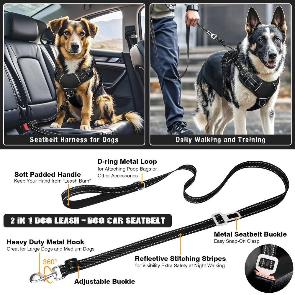 MOOGROU 2-in-1 leash demonstrates rotating clip and car seat belt conversion