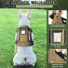 MOOGROU 2 in 1 leash demonstrates travel friendly car seat belt usage.