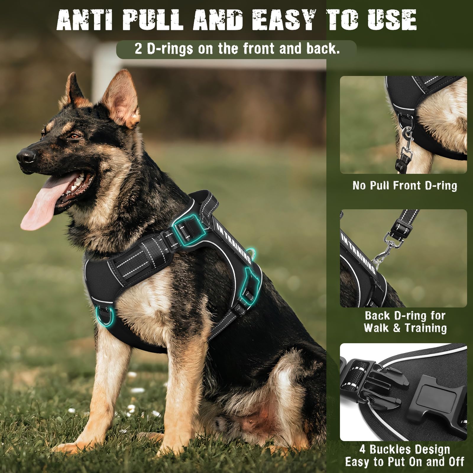 MOOGROU padded back handle aids gentle control and quick stops.
